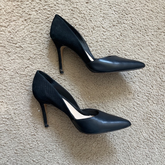 Vince came to heels - Picture 3 of 5